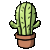 001_cactus.gif